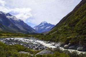 Elder Scholar: Our Strange Relationship with Fiction – From Classical Antiquity to Evolutionary Psychology
