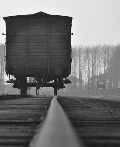 Winter 2020 Course: GERM 426 (German Representations of the Holocaust)