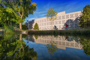 Undergraduate Student Reflects on his Work in the Beginner’s German “Culture Today” Modules